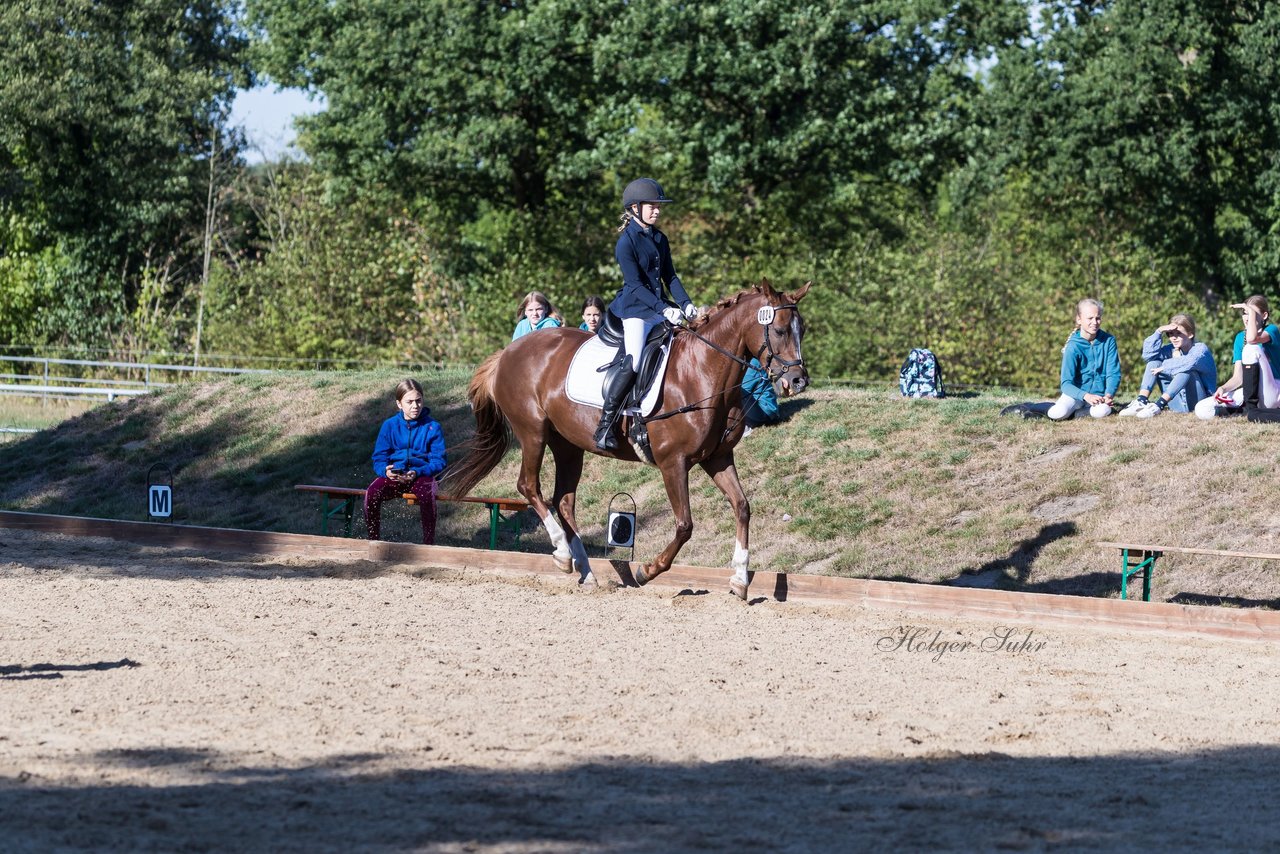 Bild 81 - Pony Akademie Turnier